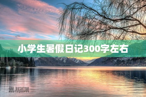小学生暑假日记300字左右