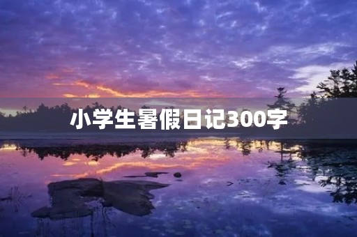 小学生暑假日记300字