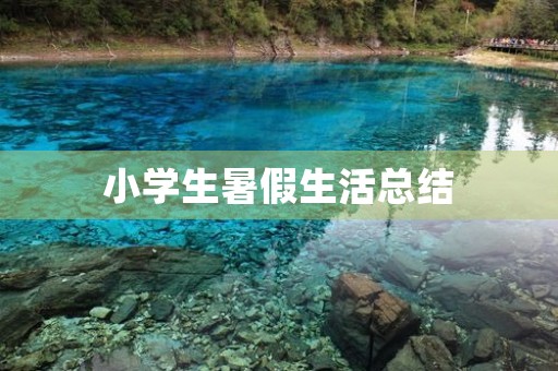 小学生暑假生活总结