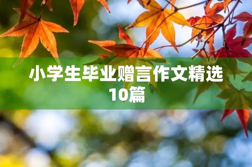 小学生毕业赠言作文精选10篇