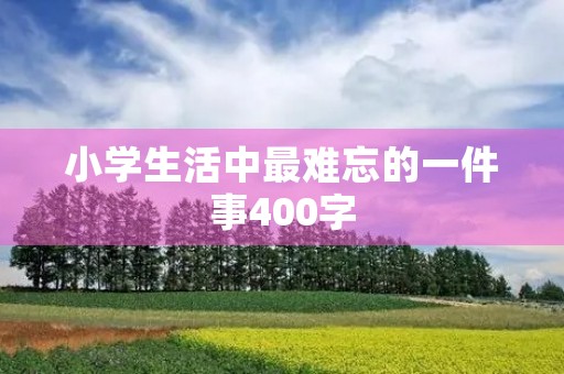 小学生活中最难忘的一件事400字
