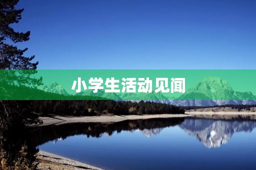 小学生活动见闻 小学生活动见闻