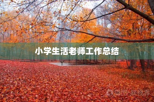 小学生活老师工作总结