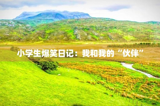 小学生爆笑日记：我和我的“伙伴”