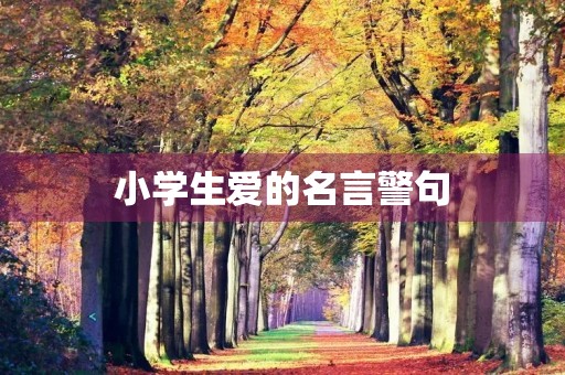 小学生爱的名言警句(小学生爱的名言警句大全)
