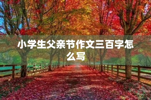 小学生父亲节作文三百字怎么写