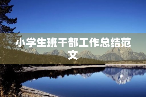 小学生班干部工作总结范文