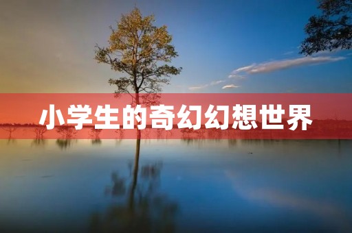 小学生的奇幻幻想世界