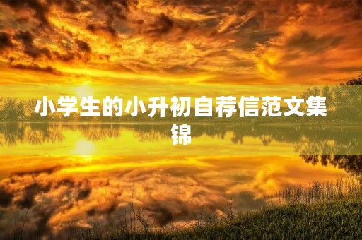 小学生的小升初自荐信范文集锦