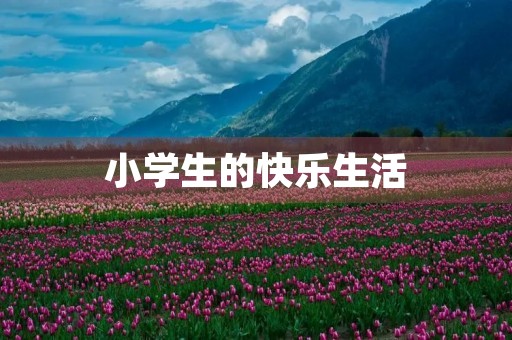 小学生的快乐生活 小学生的快乐生活