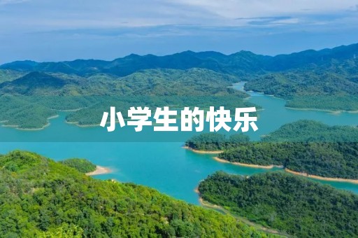 小学生的快乐