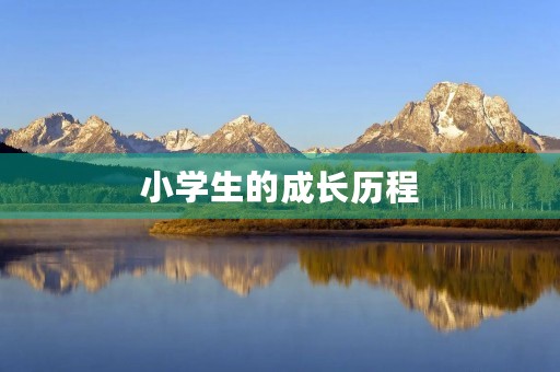 小学生的成长历程