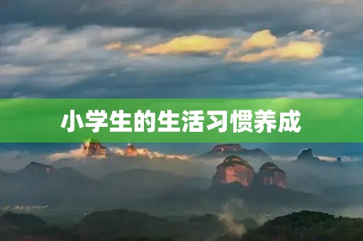 小学生的生活习惯养成