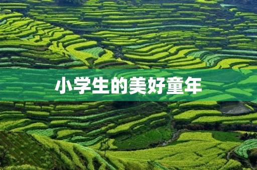 小学生的美好童年
