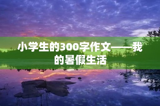 小学生的300字作文——我的暑假生活