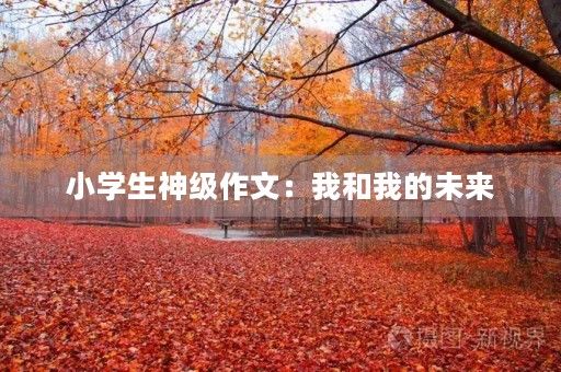 小学生神级作文：我和我的未来