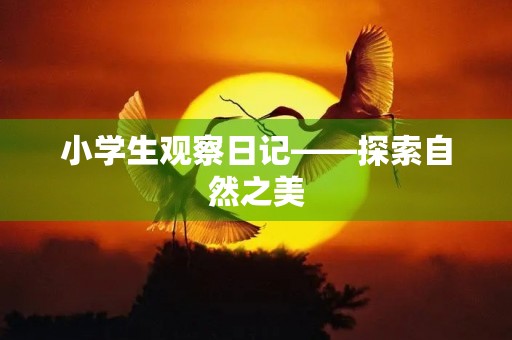 小学生观察日记——探索自然之美 小学生观察日记——探索自然之美