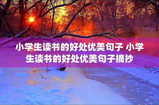 小学生读书的好处优美句子 小学生读书的好处优美句子摘抄