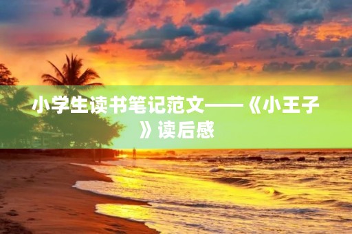 小学生读书笔记范文——《小王子》读后感 小学生读书笔记范文——《小王子》读后感