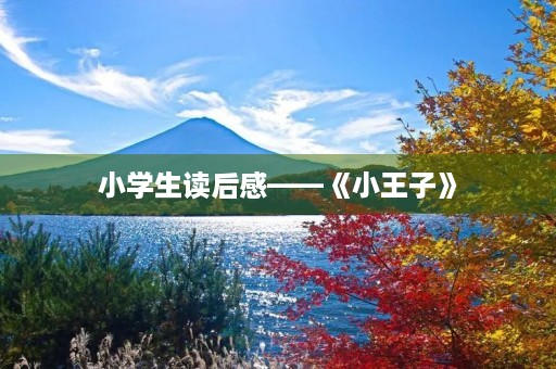 小学生读后感——《小王子》