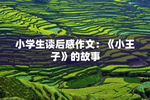 小学生读后感作文：《小王子》的故事