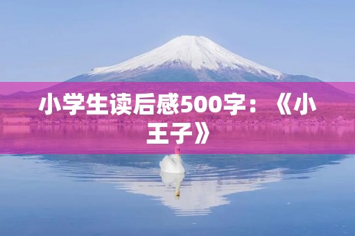 小学生读后感500字：《小王子》