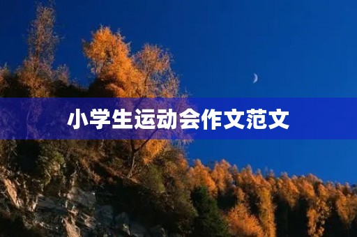 小学生运动会作文范文 小学生运动会作文范文