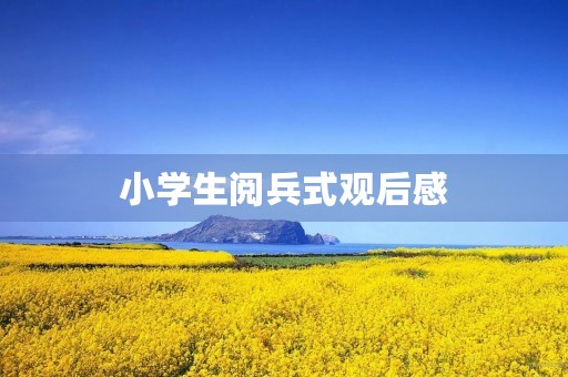 小学生阅兵式观后感 小学生阅兵式观后感
