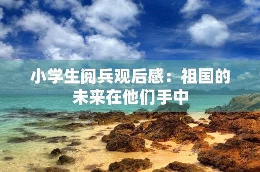 小学生阅兵观后感：祖国的未来在他们手中