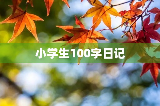 小学生100字日记