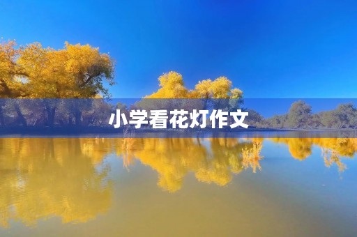 小学看花灯作文