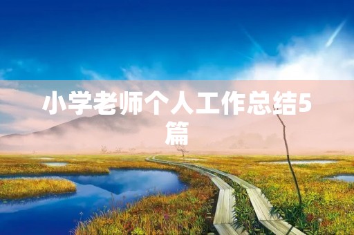 小学老师个人工作总结5篇
