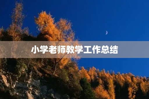 小学老师教学工作总结 小学老师教学工作总结