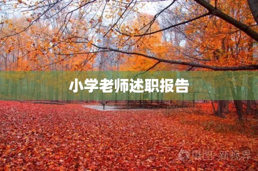 小学老师述职报告