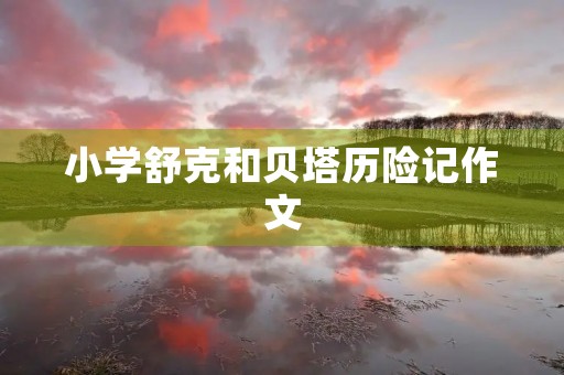 小学舒克和贝塔历险记作文 小学舒克和贝塔历险记作文