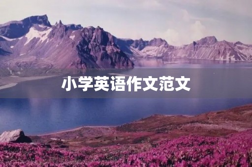 小学英语作文范文