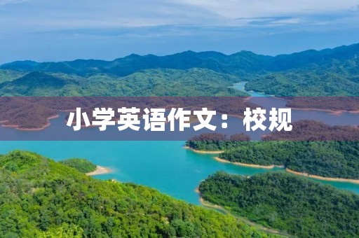 小学英语作文：校规