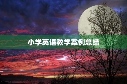 小学英语教学案例总结