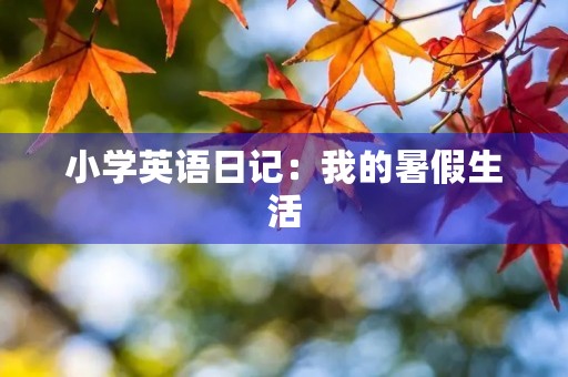 小学英语日记：我的暑假生活