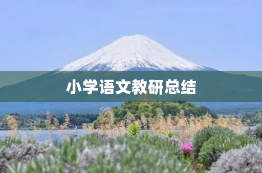 小学语文教研总结
