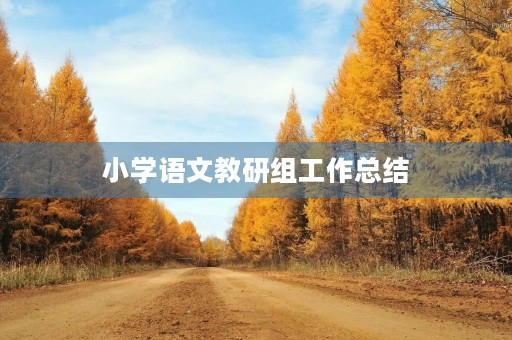 小学语文教研组工作总结
