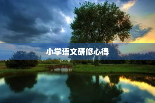 小学语文研修心得 小学语文研修心得