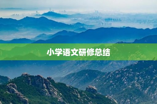 小学语文研修总结