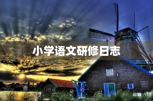 小学语文研修日志