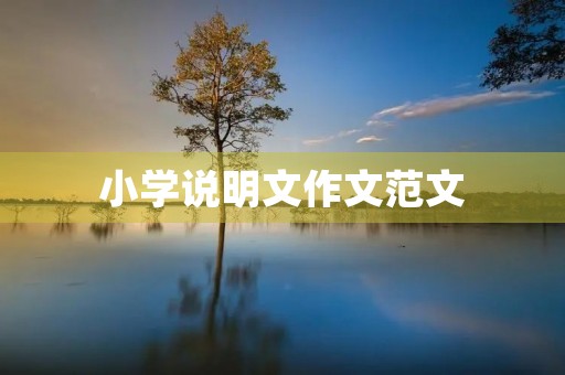 小学说明文作文范文 小学说明文作文范文