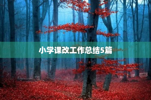 小学课改工作总结5篇