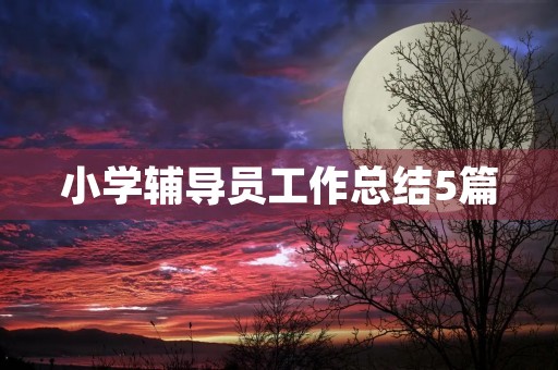 小学辅导员工作总结5篇
