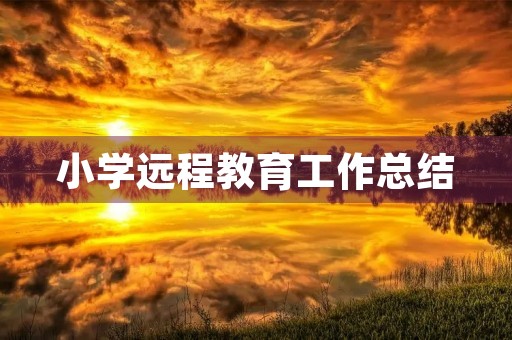 小学远程教育工作总结