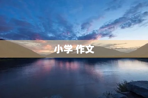 小学 作文