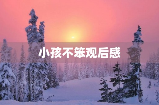 小孩不笨观后感